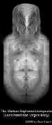eg3-marsface-composite.jpg (16930 bytes)